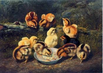 unknow artist chickens 197 China oil painting art